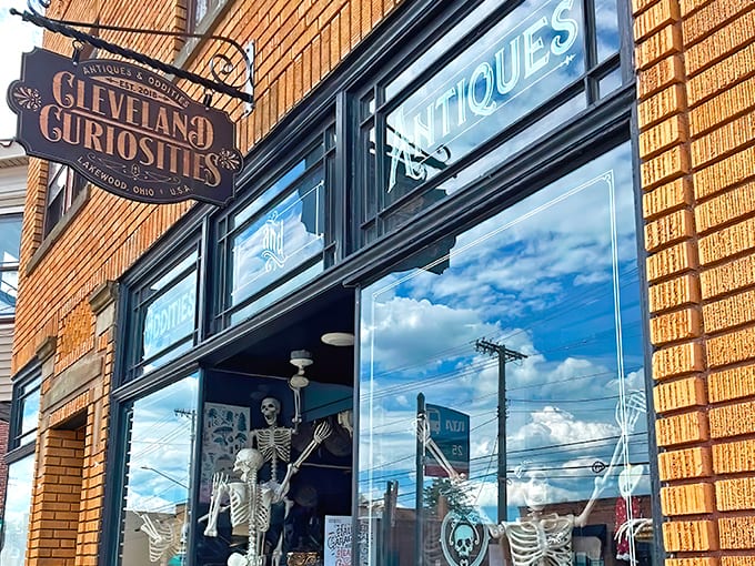 Storefront of Cleveland Curiosities in Lakewood, Ohio