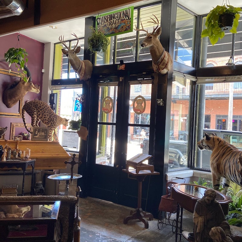 Interior of the current Dysfunctional Grace Ybor City shop with taxidermy arranged around its corner storefront windows
