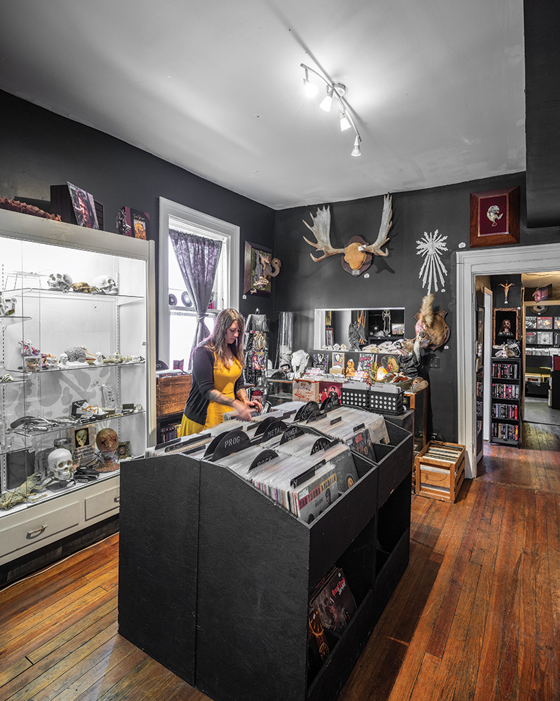 HAIL Records & Oddities interior with vinyl bins, taxidermy and specimen displays