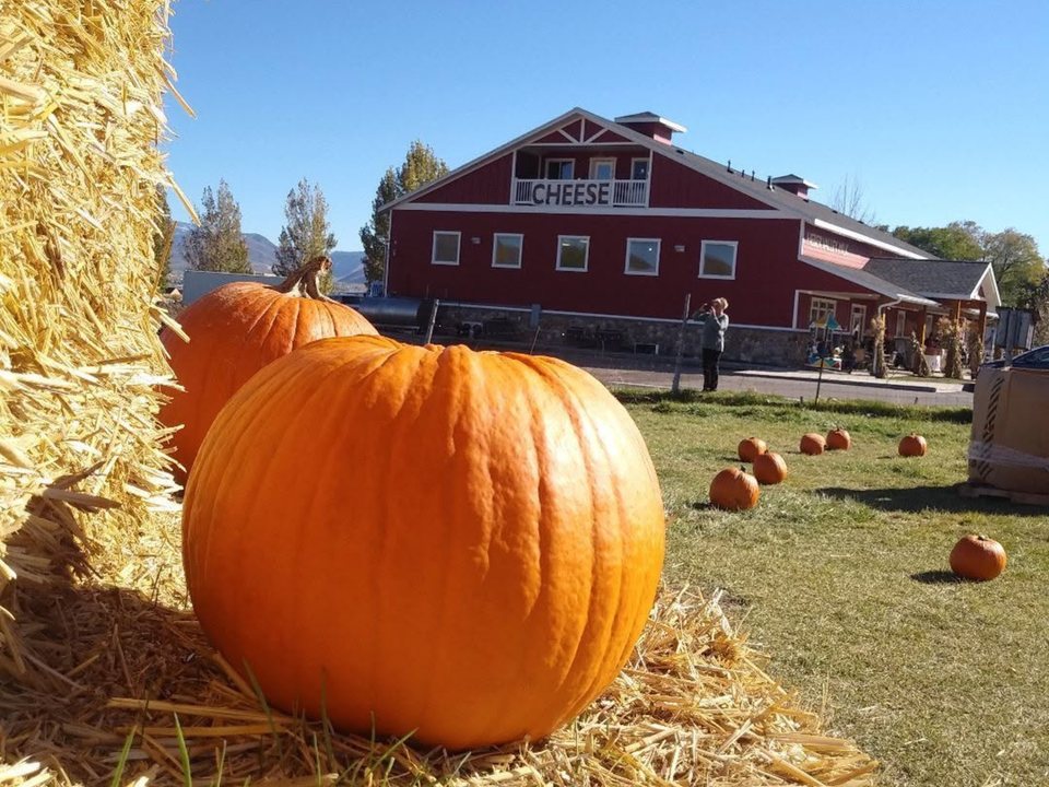 Red Heber Valley Artisan Cheese creamery building at the Midway dairy farm