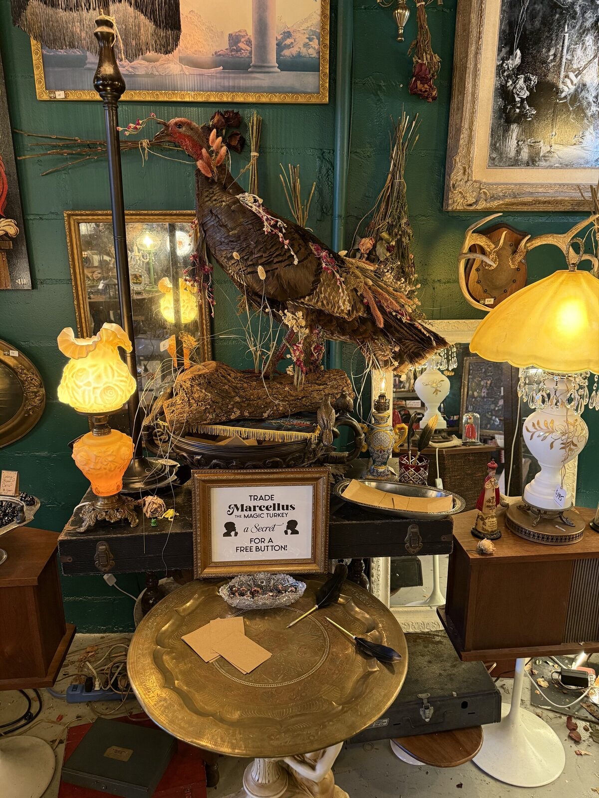 Interior display at Tiger Dust with a decorated taxidermy turkey, vintage lamps, framed art, and curiosities