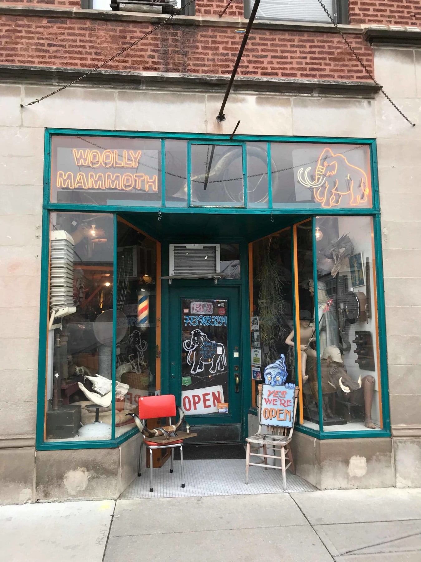 Woolly Mammoth storefront at 1513 W. Foster Avenue with neon name and mammoth signs above the entrance